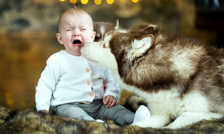 Baby and Dog wallpaper