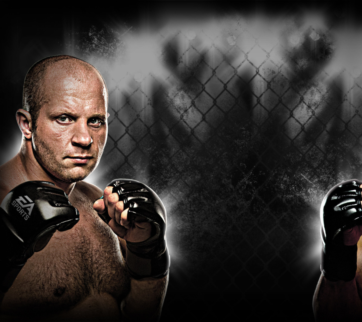 Screenshot №1 pro téma Fedor Emelianenko Mma 1440x1280