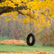 Screenshot №1 pro téma Tire Swing 208x208