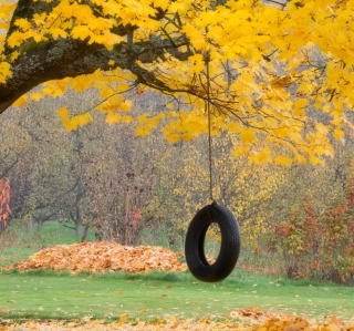 Free Tire Swing Picture for 128x128