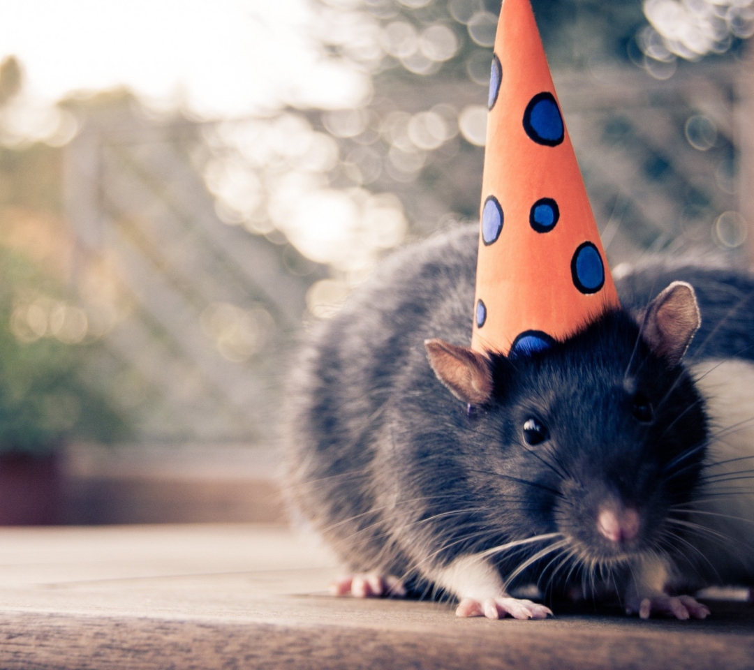 Party Mouse wallpaper 1080x960