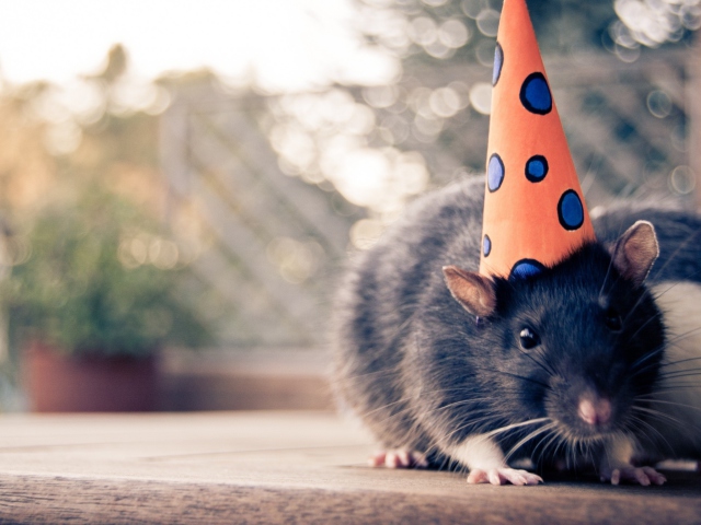 Das Party Mouse Wallpaper 640x480