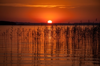 Summer Red Sunset - Obrázkek zdarma pro Nokia C3