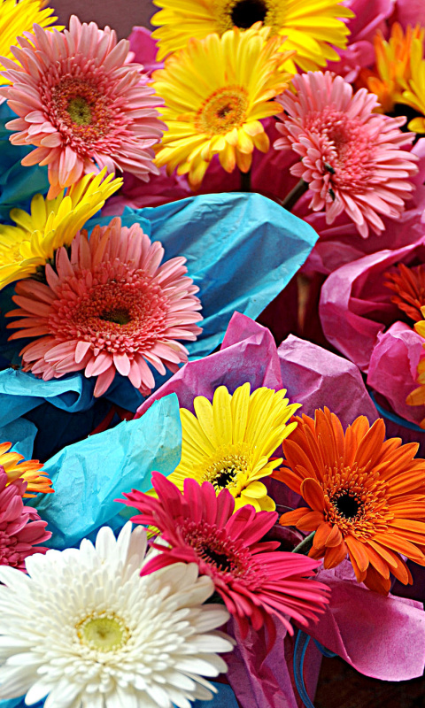 Fondo de pantalla Bouquet of Gerberas 480x800