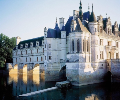 Screenshot №1 pro téma Château de Chenonceau 480x400