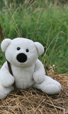 Fondo de pantalla White Teddy Bear 240x400