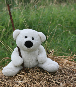 White Teddy Bear - Obrázkek zdarma pro Nokia X1-01