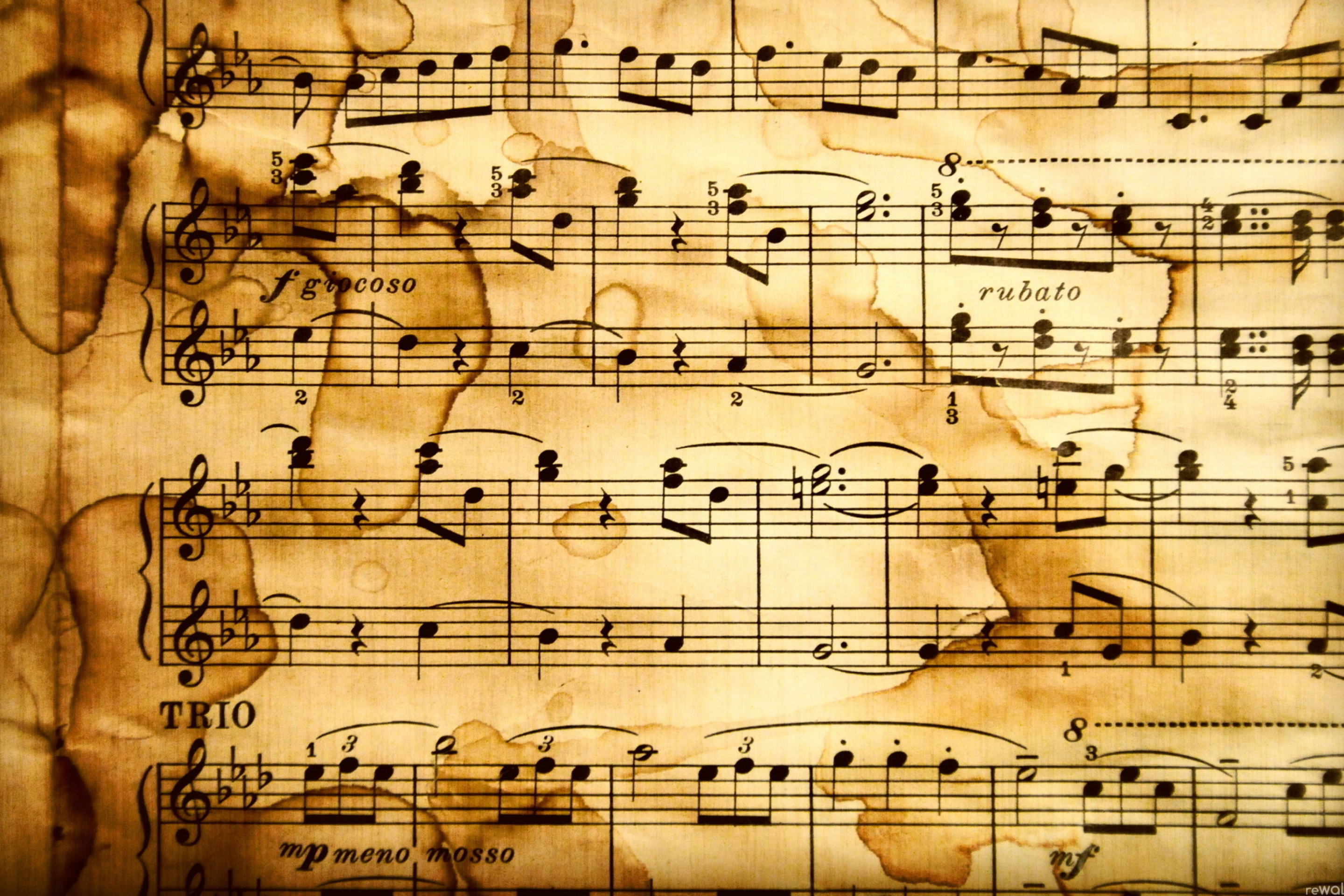 Musical Notes wallpaper 2880x1920