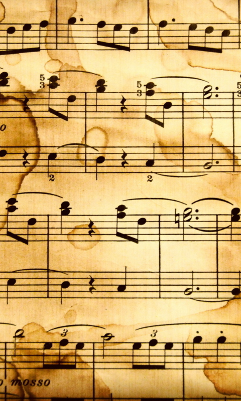 Das Musical Notes Wallpaper 480x800