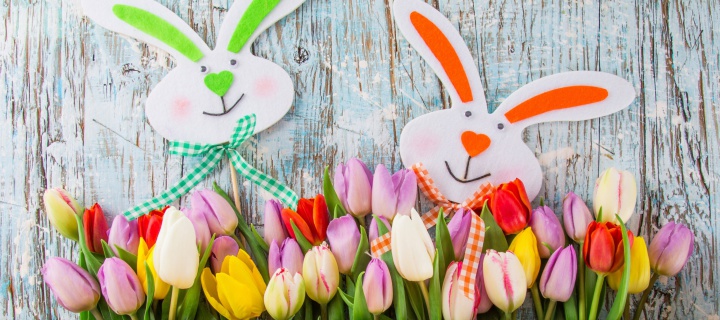 Fondo de pantalla Easter Tulips and Hares 720x320