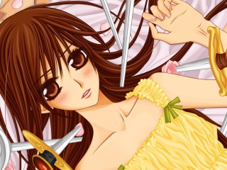 Screenshot №1 pro téma Vampire Knight - Yuki 320x240