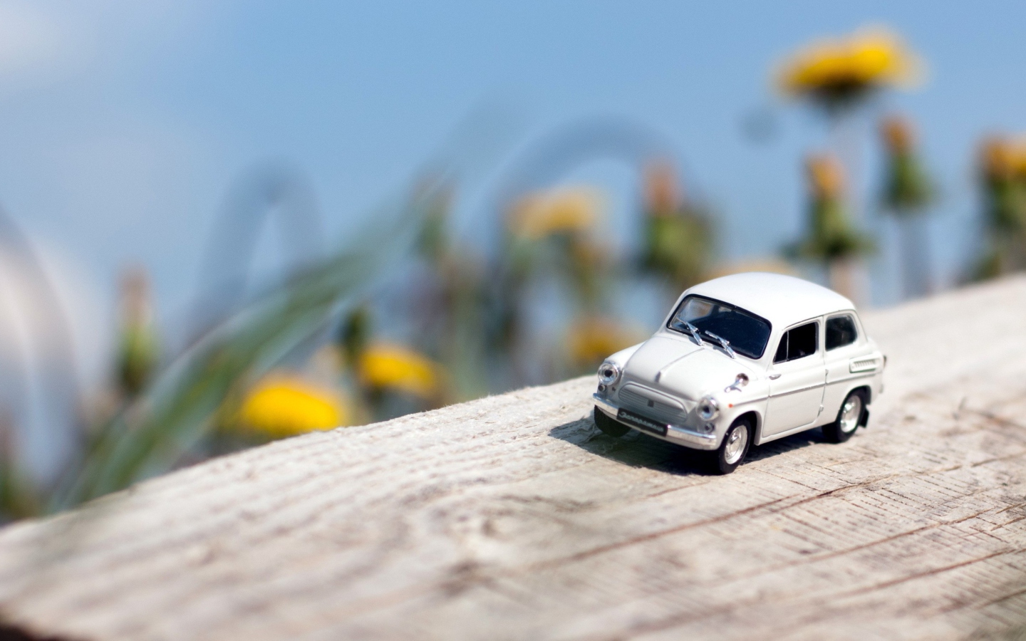 Screenshot №1 pro téma Miniature Toy Car 1440x900
