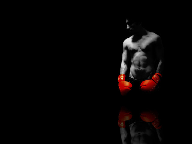 Das Boxer Wallpaper 640x480