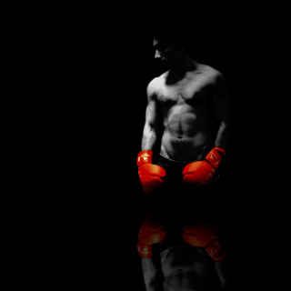Boxer - Obrázkek zdarma pro iPad mini