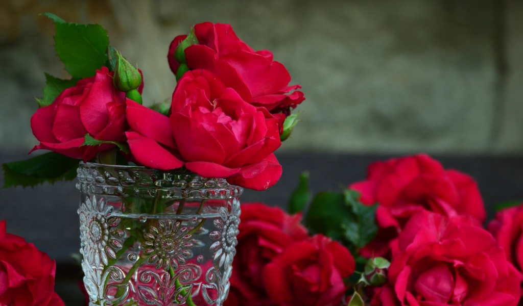 Обои Red roses in a retro vase 1024x600