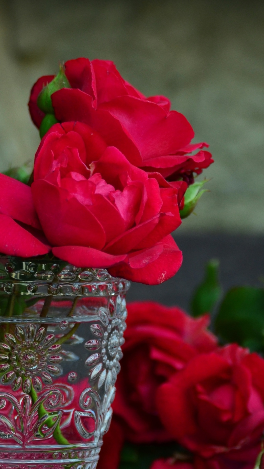 Das Red roses in a retro vase Wallpaper 1080x1920