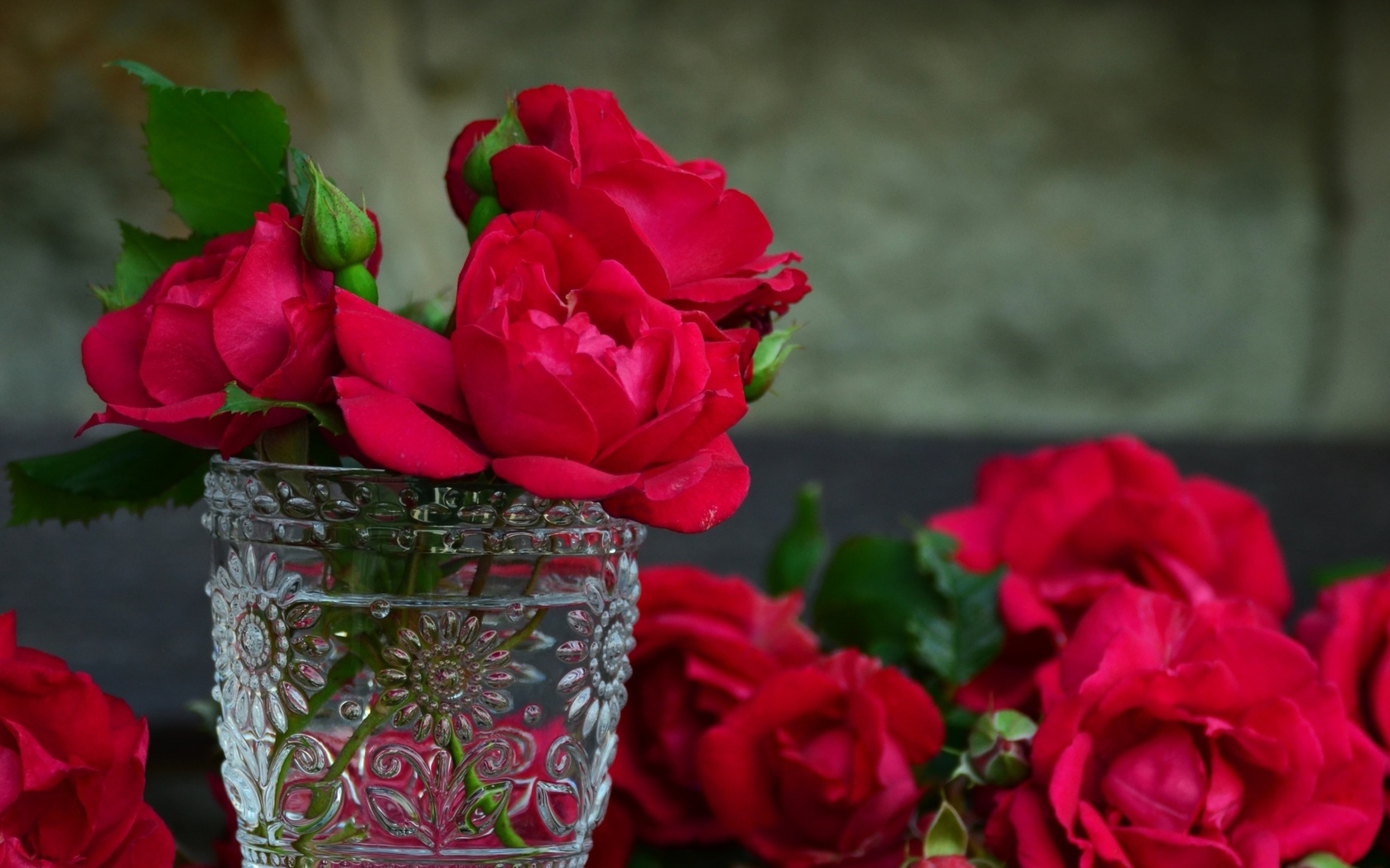 Обои Red roses in a retro vase 1680x1050