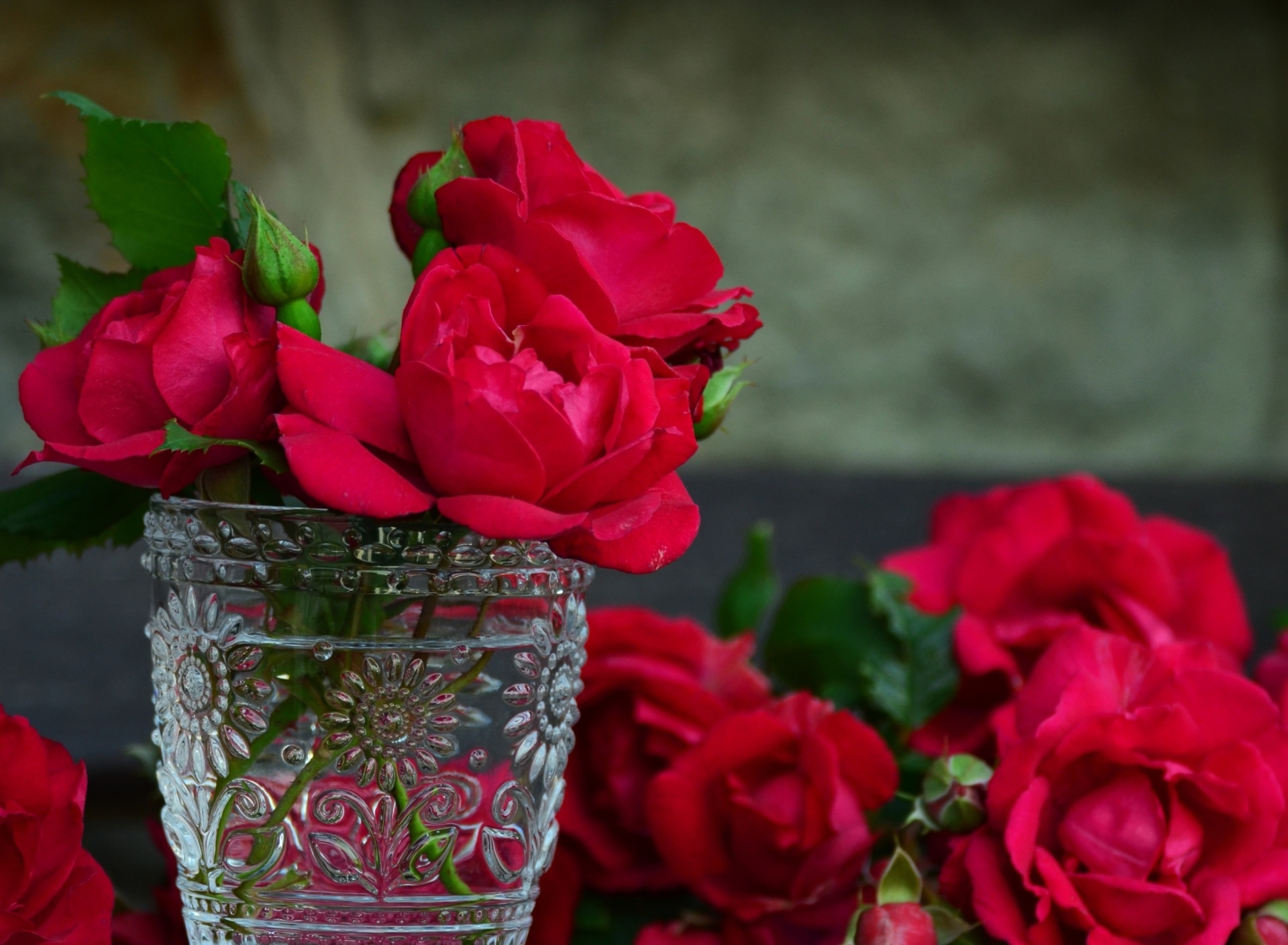Red roses in a retro vase wallpaper 1920x1408