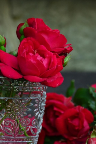 Red roses in a retro vase wallpaper 320x480