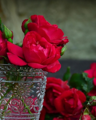 Red roses in a retro vase - Fondos de pantalla gratis para Nokia Asha 305