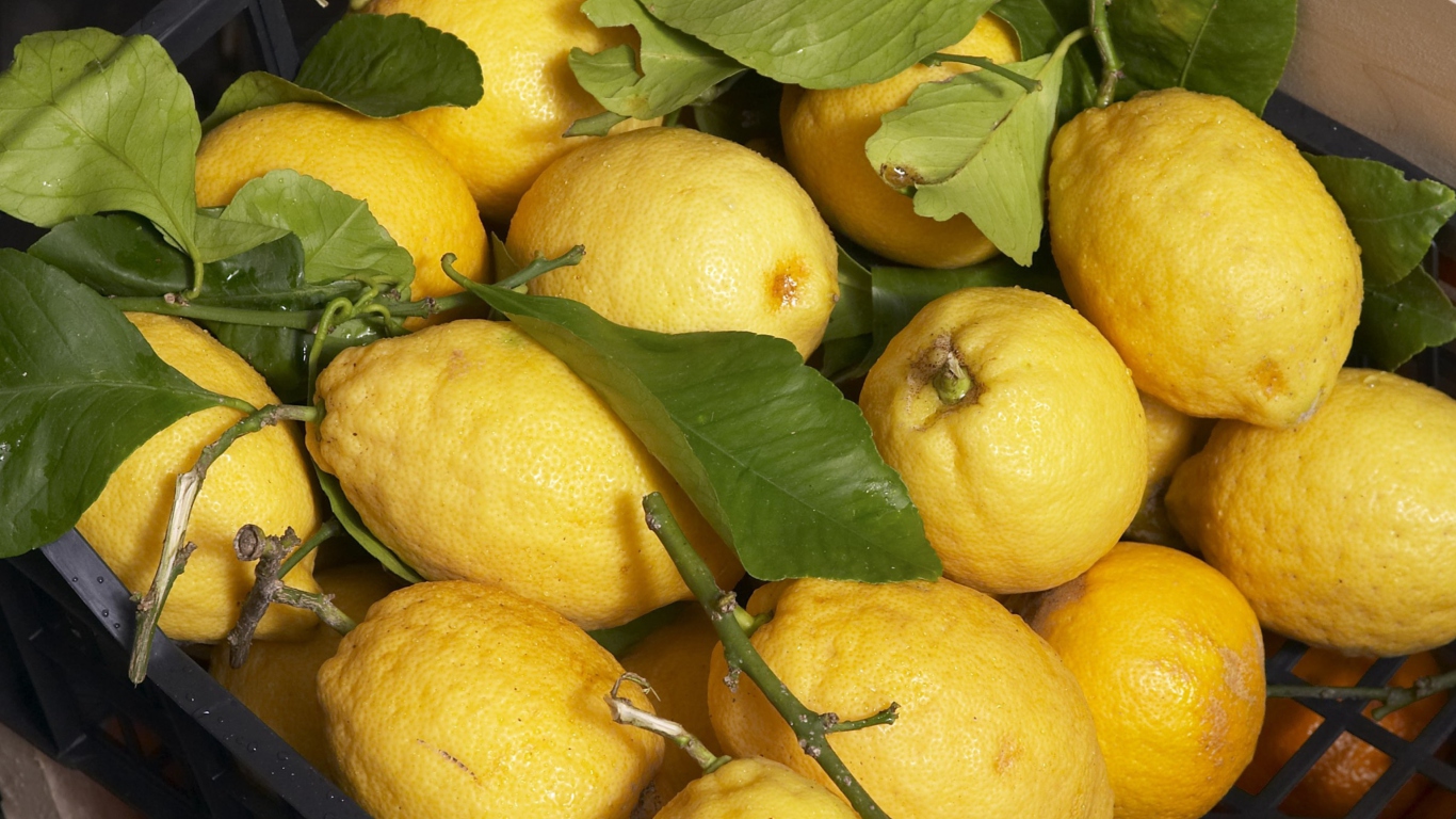 Sfondi Fresh Lemons 1366x768