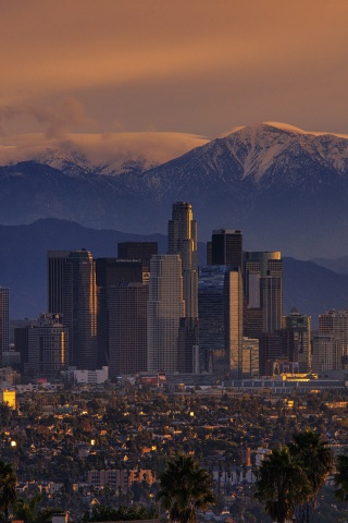 Das Los Angeles, California Panorama Wallpaper 320x480