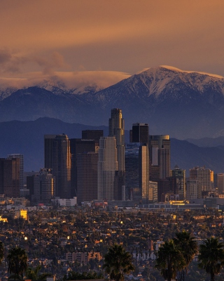 Los Angeles, California Panorama - Obrázkek zdarma pro 240x320