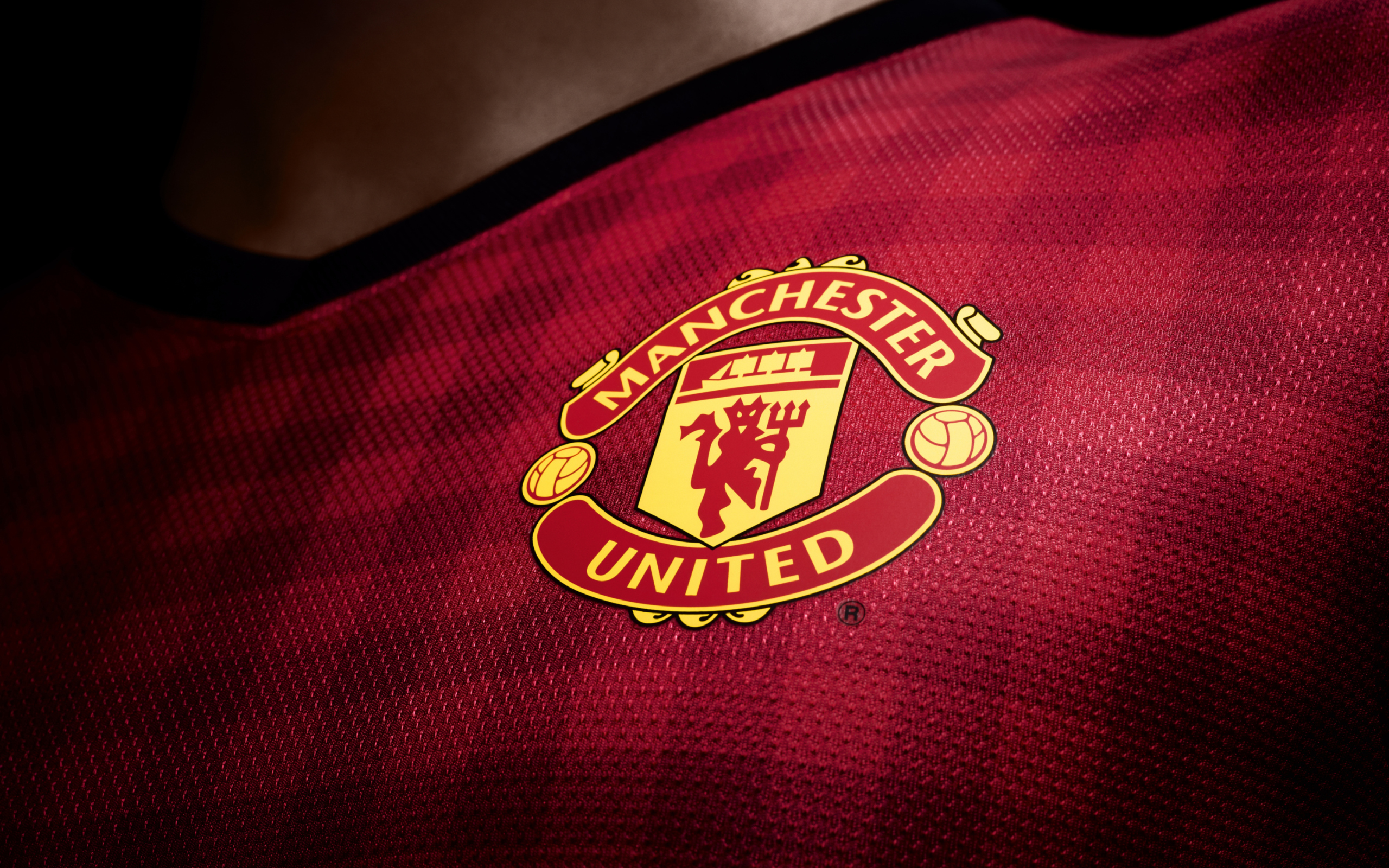 Screenshot №1 pro téma Manchester United T-Shirt 2560x1600