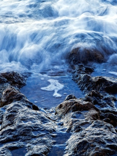 Low Tide screenshot #1 240x320