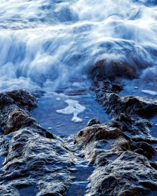 Low Tide - Obrázkek zdarma pro 320x480