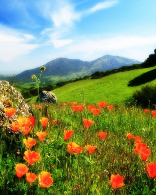 Mountainscape And Poppies - Obrázkek zdarma pro 128x160