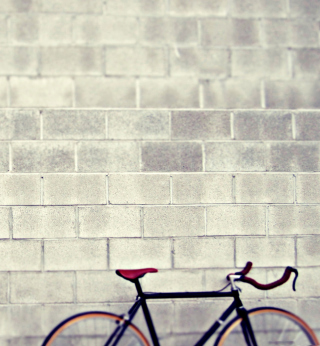 Bicycle - Obrázkek zdarma pro iPad mini 2