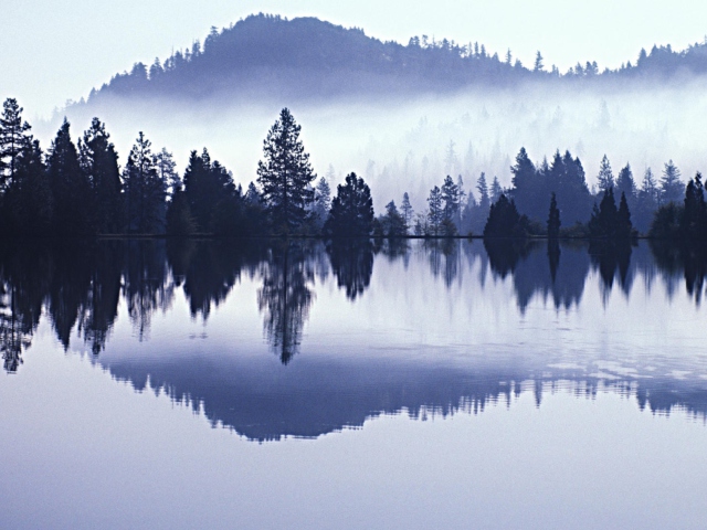 Misty Landscape screenshot #1 640x480