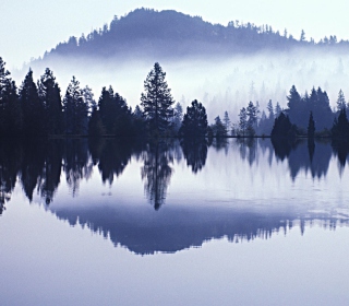 Misty Landscape - Obrázkek zdarma pro 2048x2048