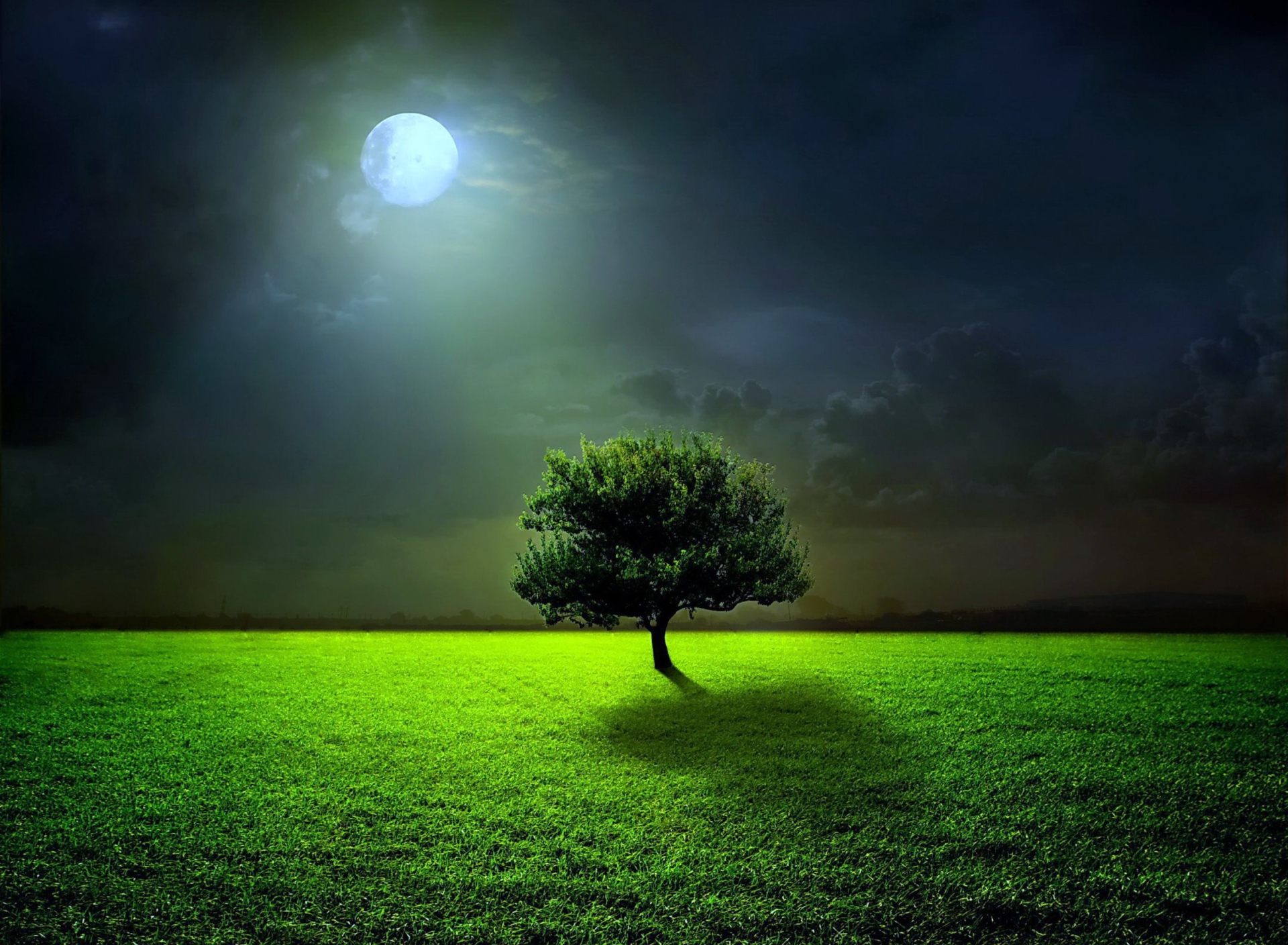 Das Evening With Lonely Tree Wallpaper 1920x1408