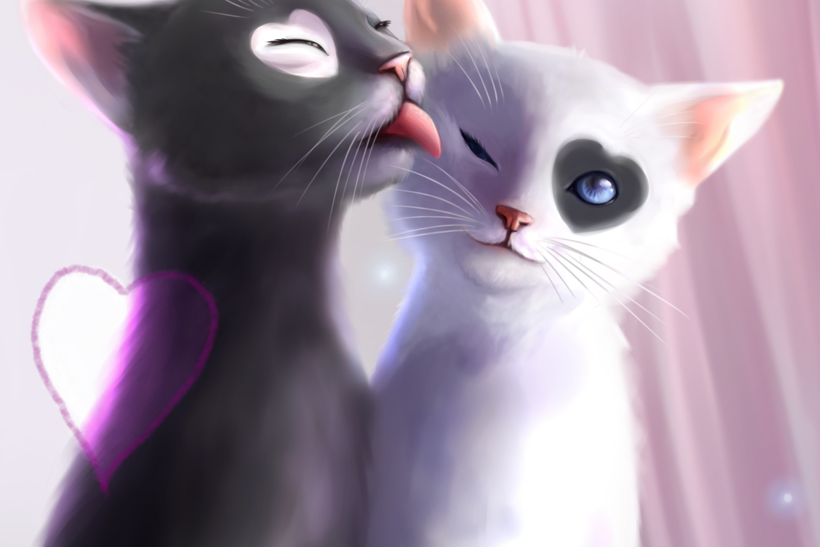 Fondo de pantalla Black And White Cats Romance 2880x1920