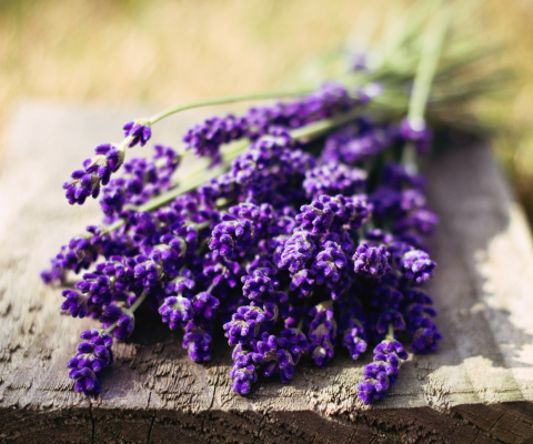 Screenshot №1 pro téma Lovely Lavender Bouquet 480x400
