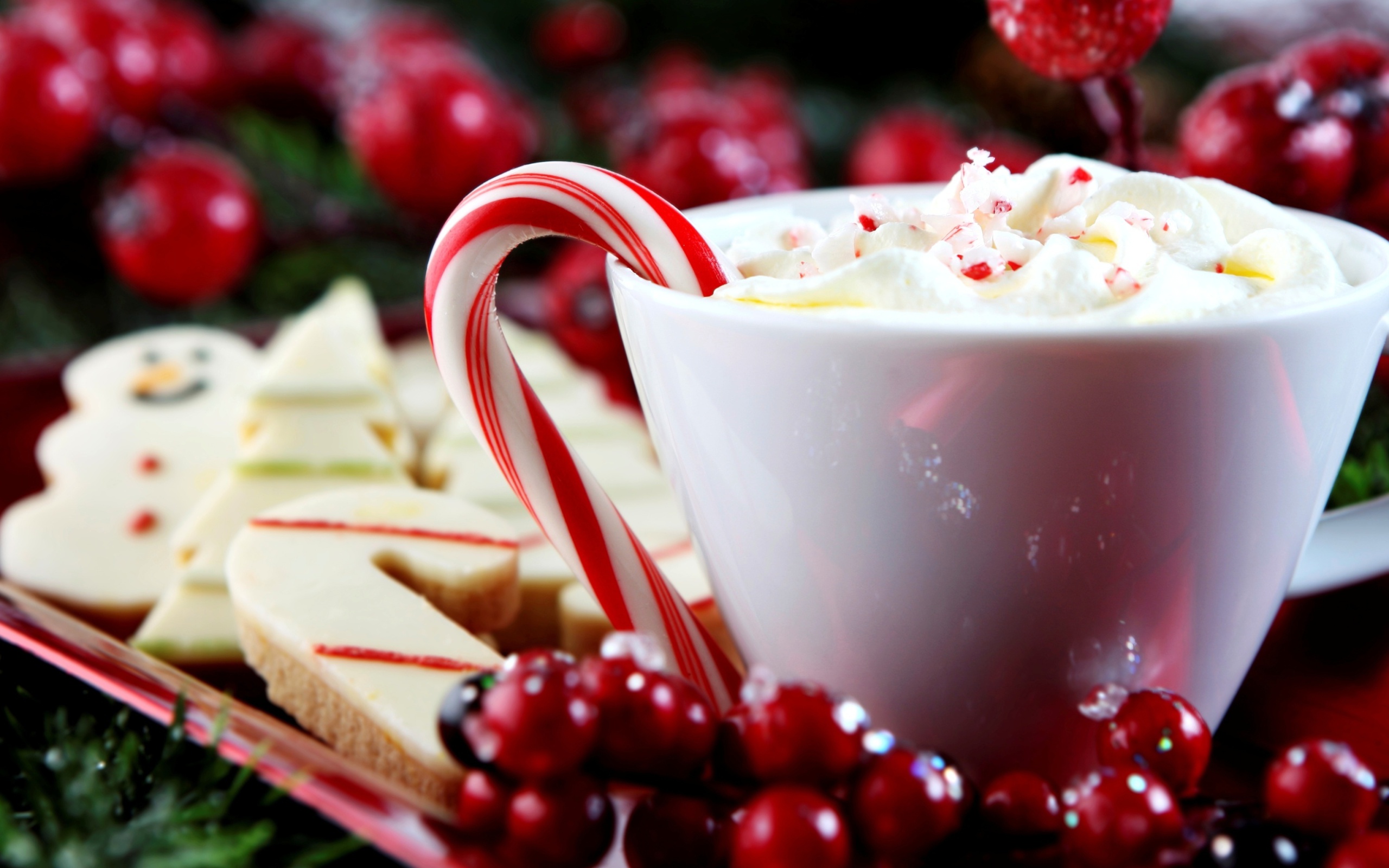 Sweet Drink for Cold Weather wallpaper 2560x1600
