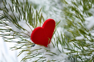 Last Christmas I Gave You My Heart - Obrázkek zdarma pro Samsung B7510 Galaxy Pro