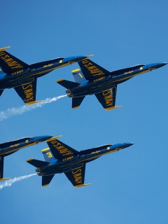 US Navy Blue Angels screenshot #1 240x320