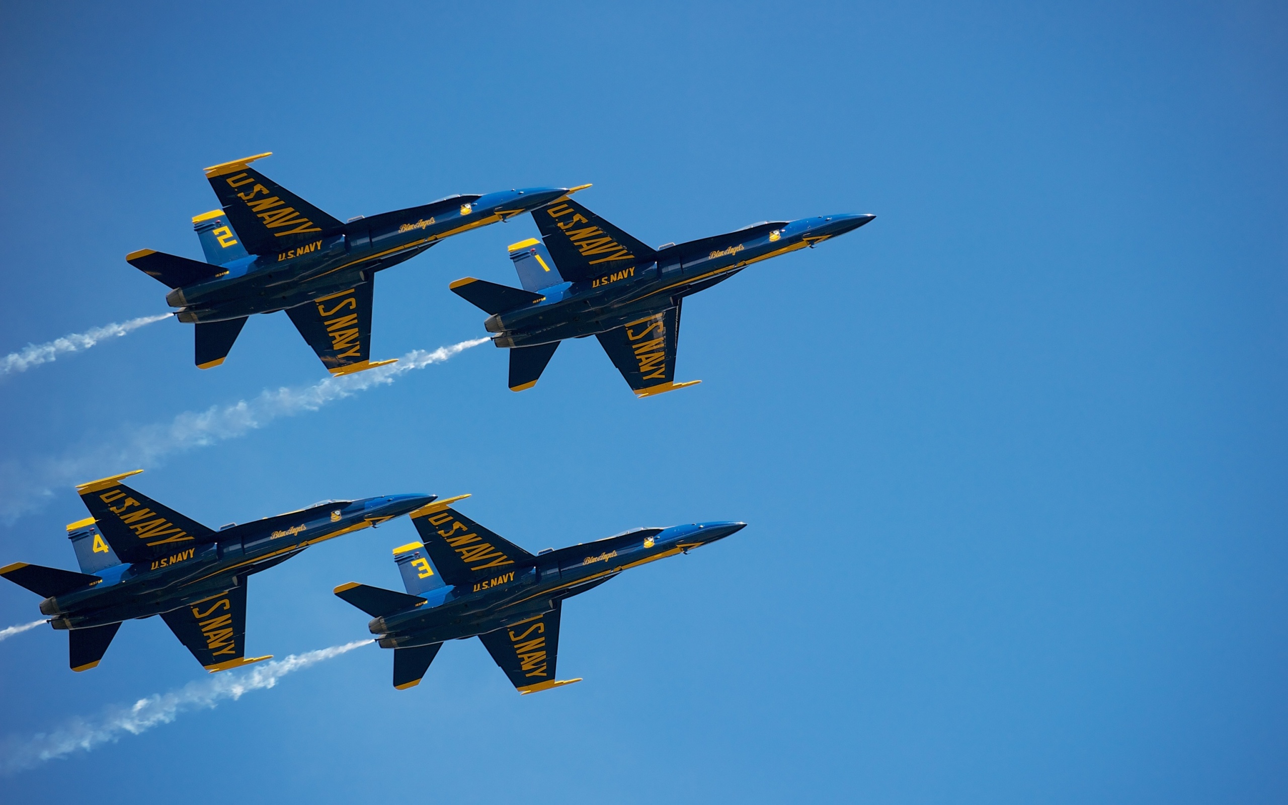 Das US Navy Blue Angels Wallpaper 2560x1600