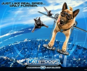Cats & Dogs: The Revenge of Kitty Galore wallpaper 176x144
