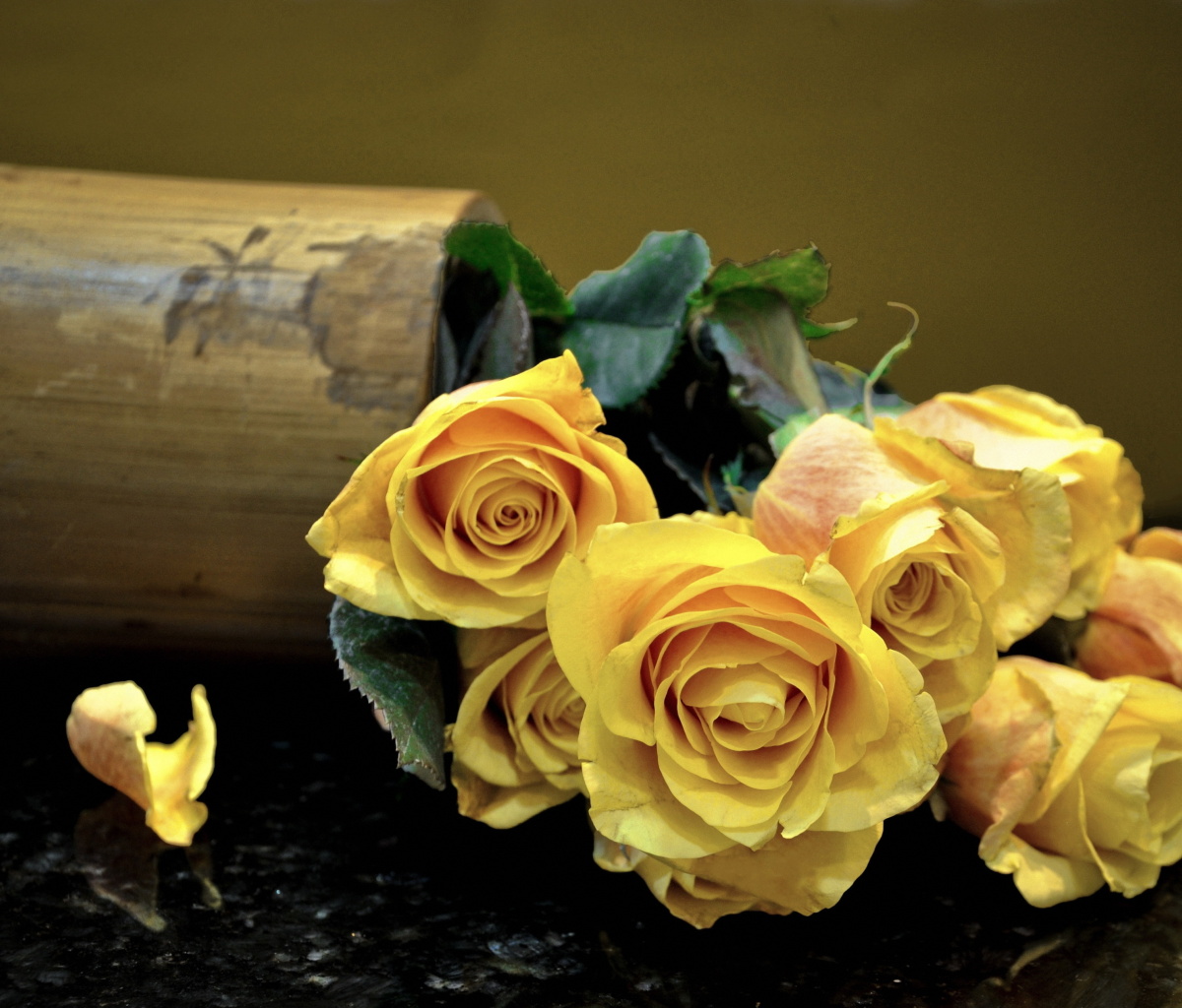 Das Melancholy Yellow roses Wallpaper 1200x1024