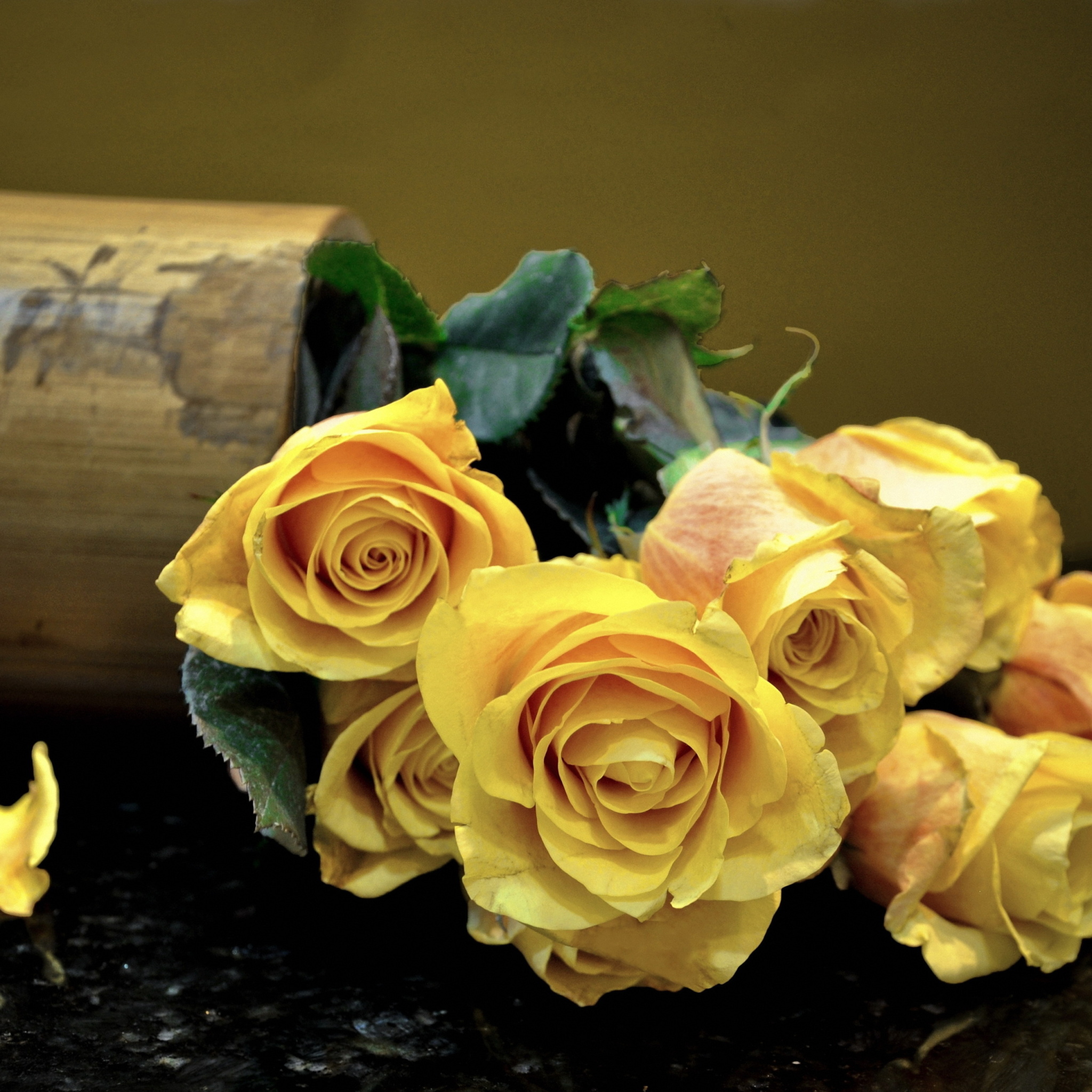 Fondo de pantalla Melancholy Yellow roses 2048x2048
