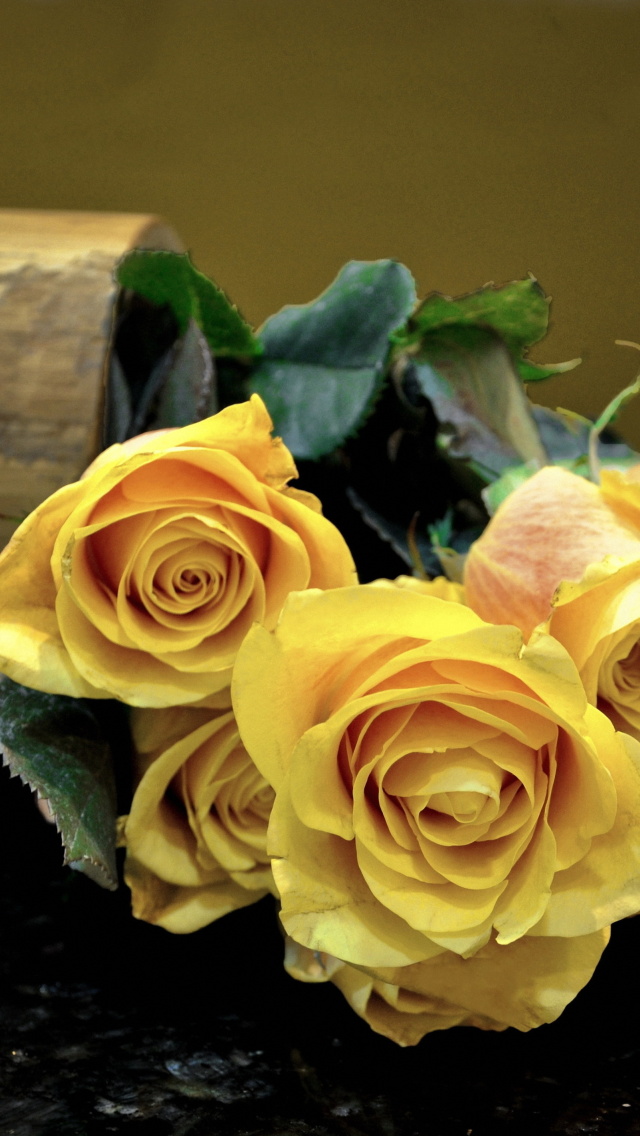 Обои Melancholy Yellow roses 640x1136