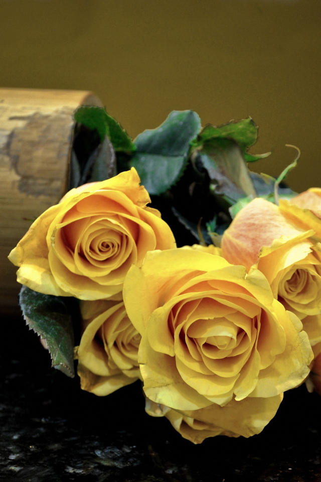 Melancholy Yellow roses screenshot #1 640x960