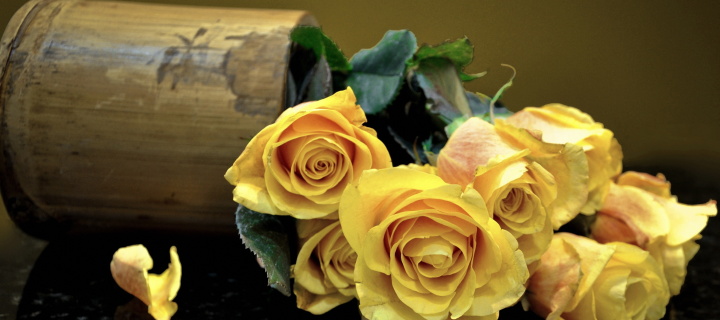 Das Melancholy Yellow roses Wallpaper 720x320