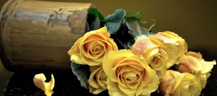 Melancholy Yellow roses wallpaper 720x320