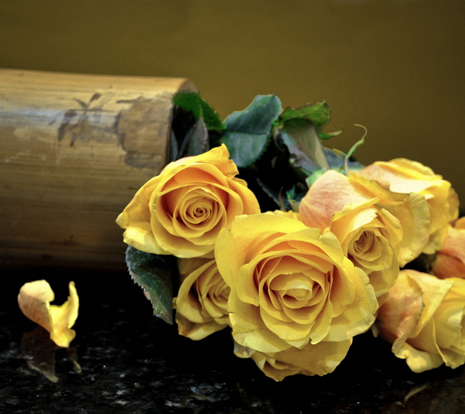 Melancholy Yellow roses wallpaper 960x854