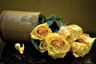 Melancholy Yellow roses Background for Android, iPhone and iPad